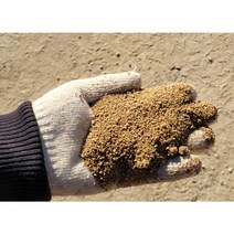 국내 자연산 마사토18kg(10mm이하) 다육이 제라늄 분갈이 흙 잔디 나무 식물용, 친마사18kg(10mm이하 / 나무 잔디식재 큰뿌리)
