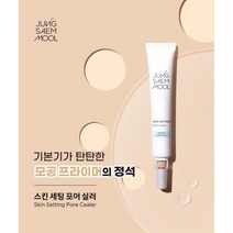 정샘물 스킨세팅포어실러 모공 집중커버 포어 프라이머, 1개