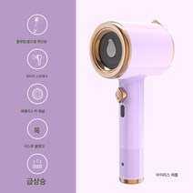 핸드건조기 가정용 건습 겸용 의류 전기다리미 소형 다림기 휴대용 기숙사 스팀 다림기, 아이리스 퍼플