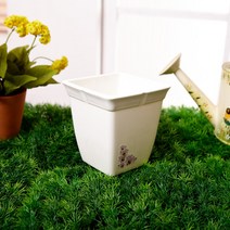 성신웰빙정사각화분 2호