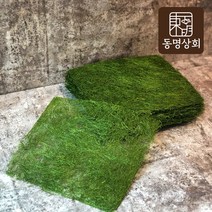 동명상회 서산 햇 감태 10장, 단품