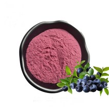 블루베리농축분말 100g 샘플, 단품, 단품