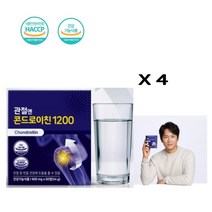 관절엔 콘드로이친1200 글리세린지방산에스테르 히드록시프로필메틸셀룰로스 스테아린산마그네슘