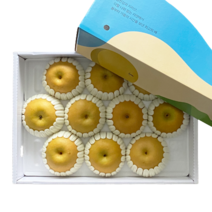 프리미엄 추석선물 하동 햇배 GAP 인증, 7.5kg(8-10과), 1박스