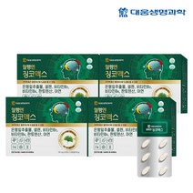대웅생명과학 혈행엔 징코맥스 120정 4개월분 은행잎 추출물 혈행개선 기억력개선 영양제, 4개