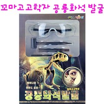 리얼세일(Realsale) 꼬마고고학자 공룡화석발굴 공룡화석발굴세트, 4개