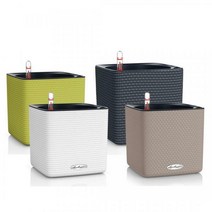 마이플랜트 레츄자 큐비컬러 16호 플라스틱 저면관수 포트 화분, 단품