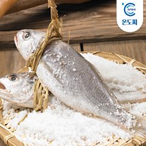 영광 법성포 국내산 굴비 20마리 1.6kg내외, 단품