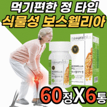 식물성 보스웰리아 추출물 정 무릅 무릎 관절 연골 손가락 손목 조인트 허리 40대 50대 60대 남자 여자 보스 보수 보슬 엘리야 웰리아 넬리아 렐리아 윌리아 웰실리아 웰릭산, 6통, 60정