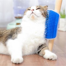 고양이 비비기 힐링 브러쉬 모서리 셀프 그루밍 알로러빙, 블루