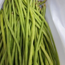 국내산 해남 줄콩 롱빈 그린빈스 베트남콩, 중량 1kg, 1개