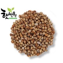 햇싹원 개량메주 개량메주가루, 02.개량메주가루 1kgX10개(국산가루용) 1BOX, 1개, 1kg