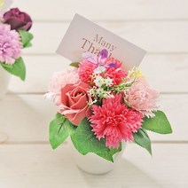 나비 비누꽃 카네이션 화분 핑크 어버이날, JTOK 1, JTOK 본상품선택