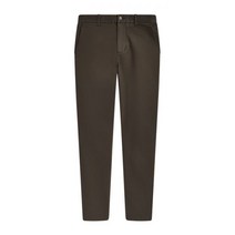 Everlane 에버레인 THE Midweight 미드웨이트 Slim Chino 슬림 치노 Green 그린 정품 미국직구 관부포함