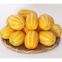 성주 참외 가정용 3Kg 아삭 꿀 참외 신선도 관리철저 산지직송, 주문3 가정용참외 3kg 소과