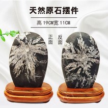 꽃돌 천연 돌 장식 사무실 인테리어, B