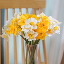 매직크린 수선화 조화 옐로우 1P, 본상품선택