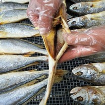 2분 OK 영광 법성포 찜 찐 부세 보리굴비 내장제거 손질 굴비 명절 제수용 부모님 선물 30cm 이상, 3마리, 750g