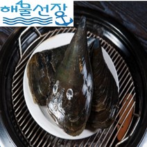 [해물선장] 싱싱한 자연산 남해안 키조개 1마리 !!!, 키조개 1마리 / 중