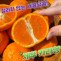 [바농프레시] 고당도 제주 카라향 2kg 4kg, 제주 카라향 4kg 내외