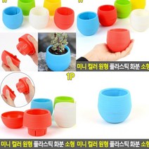플라스틱화분 블루 작은화분 옥상텃밭 독일토분 분갈이화분 실내텃밭 나무화분 야외화분 예쁜화분 실내정원 소형화분 블루베리화분 빈티지토분 베란다상추키우기 테라스화분 플랜트박스 인테리어화분 베란다정원 상자텃밭 이태리토분 분재화분 플라스틱화분 미니텃밭 집에서상추키우기 홈가드닝