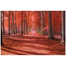 가을 분위기 소품 장식 인테리어 단풍나무 숲 사진 배경 자연 풍경 떨어지는 나뭇잎 창 강 스튜디오, 184.Vinyl 250x180cm - NKY04410