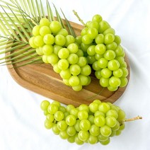 [더조은] 경북 영천 샤인머스켓 500g 1송이 에어포장, 없음