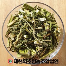 국산 익모초 500g 제천약초영농조합