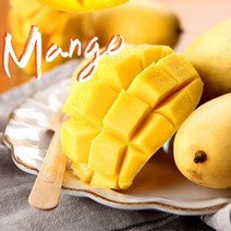 [바른팜] 항공직송 고당도 필리핀 망고 S 6개 1.25kg, 없음