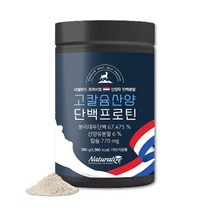 산양유 효능 알부민 대두 단백질 보충제 저분자 동물성 쉐이크 분말 식물성 파우더 영양제