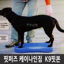 핏퍼즈 핏본 Fitpaws K9FITbone CanineGym 강아지 훈련 슬개골 탈구 예방, K9-라즈베리