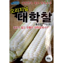 (씨앗) 대학찰옥수수 2종 (백색-얼룩) 중 택 1종 - 찰옥수수 씨앗 종자 - 소포장 (80립) 대포장 (2천립), 대학찰옥수수(80립)
