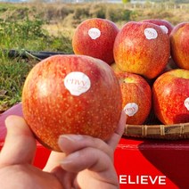 고당도 예산 엔비사과 1kg+1kg (500g 추가 덤) 중과 9-11과 내외, 단품