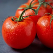 탱글탱글 프리미엄 토마토 1kg 영양만점 아이 어른 다이어트 간식