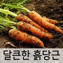 비타민 A의 황제~ 달큰한~ 못난이 흙당근 5kg, 1개