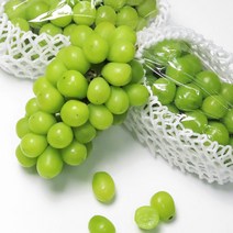 김천 프리미엄 고당도 상주 샤인머스켓 청포도, 상주샤인머스켓1.5kg(2~3송이)