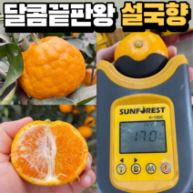 당도끝판왕 달콤한 신비향 수라향 초고당도 설국향 17브릭스 3kg, 3kg(10-15과)