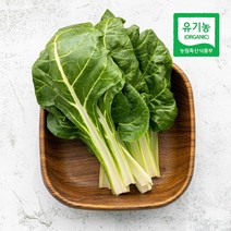 삼시세끼연구소 유기농 친환경 근대 국산 근대나물 근대채소 250g 300g, 친환경 근대 300g