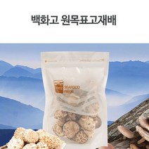 MDF5345 DHD 빼어날수 원목표고 백화고버섯 건버섯/버섯/석이버섯/표고버섯