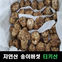 송이버섯 자연산 냉동송이버섯 터키산, 구이전골용 슬라이스, 슬라이스 1kg