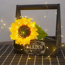 LED 와이어 전구 줄조명 크리스마스 트리 조명 무드등 장식 캠핑, 3M