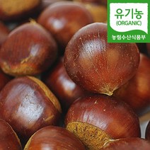(자연마을) 공주 유기농 정안밤 1kg 2kg 피밤 생밤 생율, 공주 유기농 정안밤 2kg
