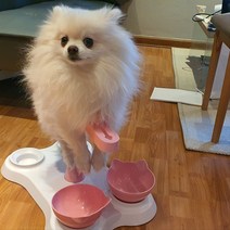 강아지 거치대 애견 미용 강아지 미용 거치대 소형견 강아지 미용 거치대세트, 핑크색