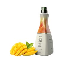 웰파인 더진한 망고 고농축 베이스 1.5kg, 1개