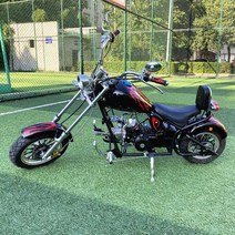 할리데이비슨 소형바이크 110cc 경량 키덜트 전시, 레드 125cc