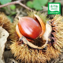 [산지직송] 충주 김의충님의 유기농 알밤(대) 2kg, 단품