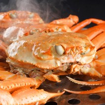 [꿀맛인증] 농가살리기 영덕 붉은대게 자숙홍게 1.7kg 3.5kg, 실속형 붉은대게 9~11마리 3.5kg 내외살수율60%