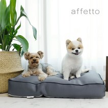 아페토 반려동물 마이크로 비즈 구름방석, 그레이