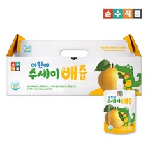 어린이 수세미배즙 1박스 30포x100ml 음료 주스 간식 선물포장 순수식품, [2박스/60포]수세미배즙