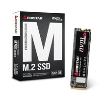 Biostar M700 M.2 2280 (512GB)
